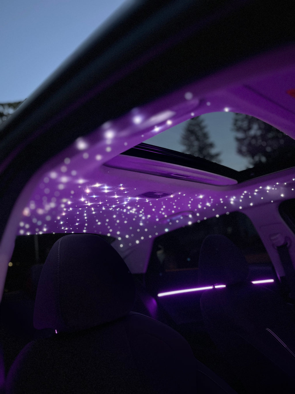 Starlight Headliner Kit